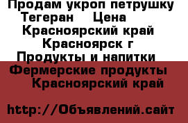 Продам укроп,петрушку (Тегеран) › Цена ­ 140 - Красноярский край, Красноярск г. Продукты и напитки » Фермерские продукты   . Красноярский край